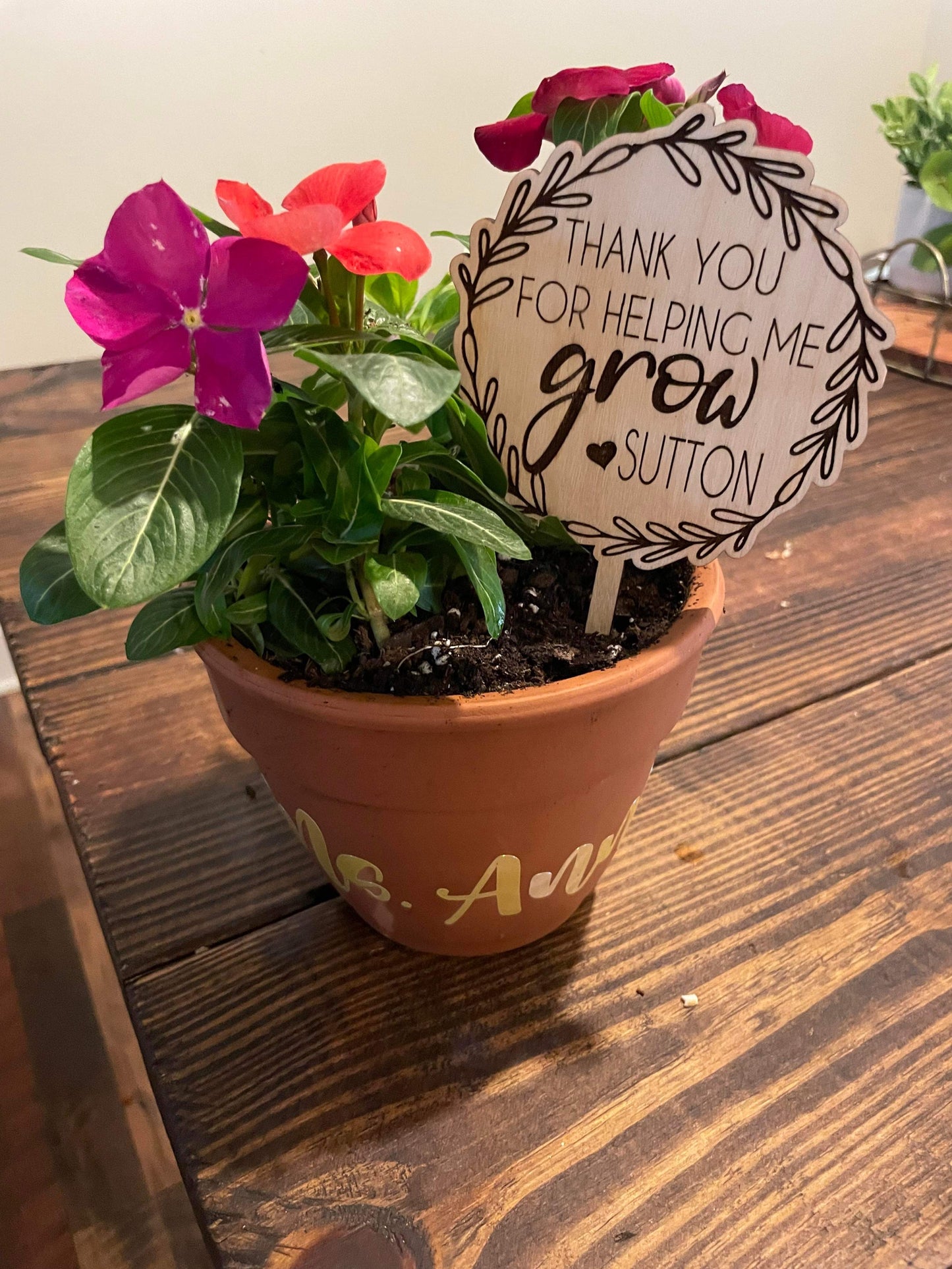 Teachers plant gift